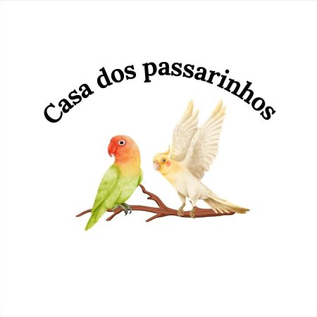 Casa Dos Passarinho'S , Lagos Exterior photo